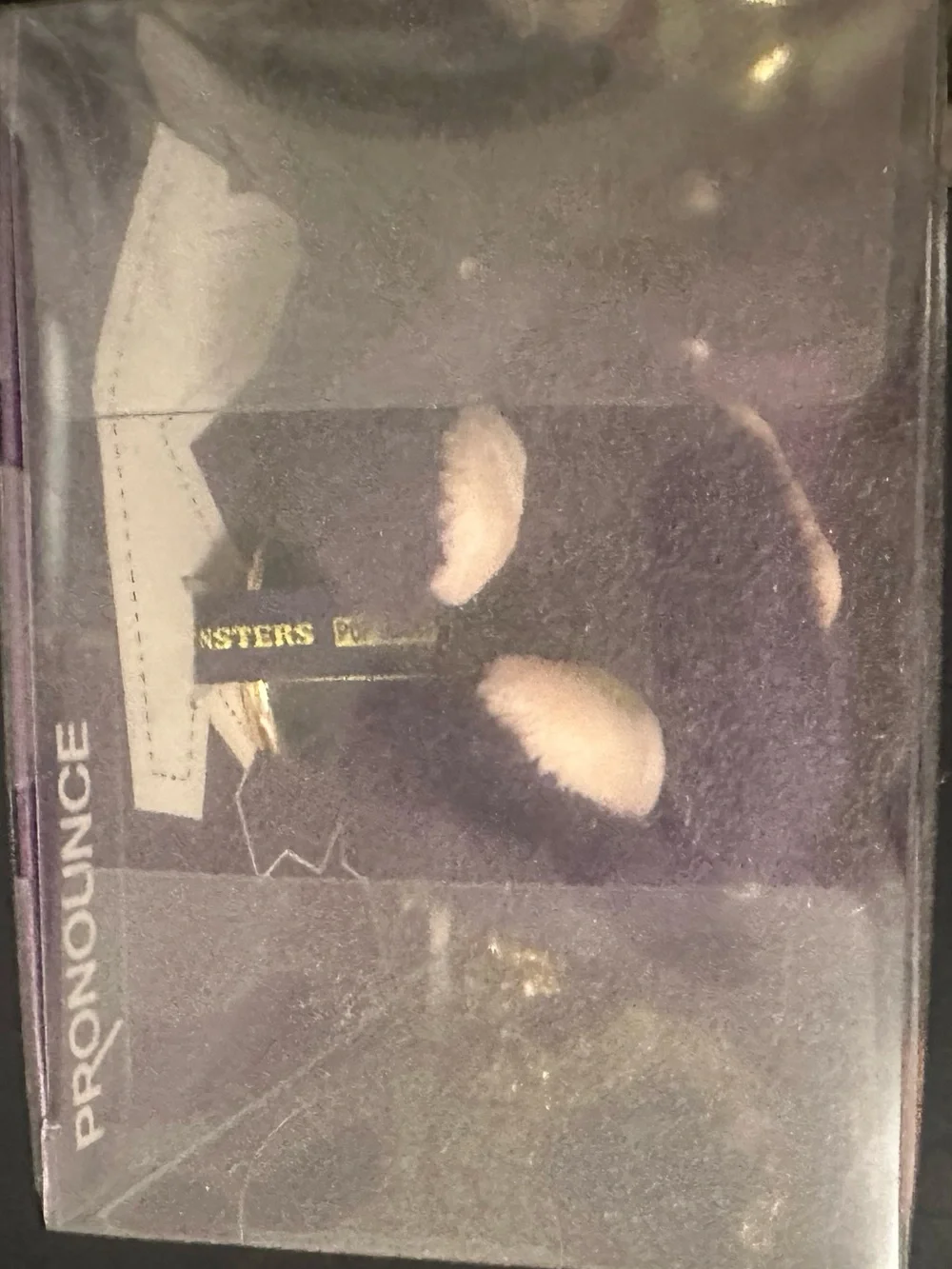 Popmart Labubu Wings of Fortune